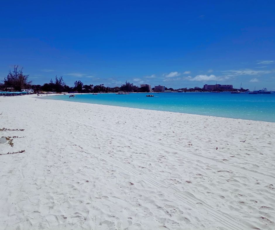 Brownes Beach and Carlisle Bay
